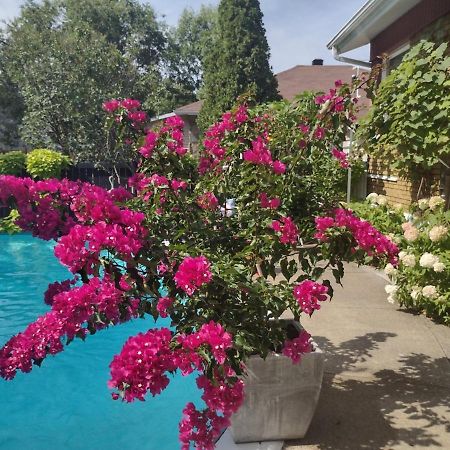 Gite Chez Baza Shawinigan Zewnętrze zdjęcie